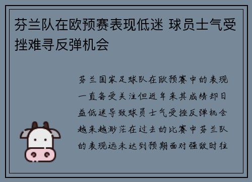 芬兰队在欧预赛表现低迷 球员士气受挫难寻反弹机会